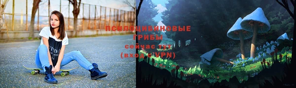 a pvp Богородицк