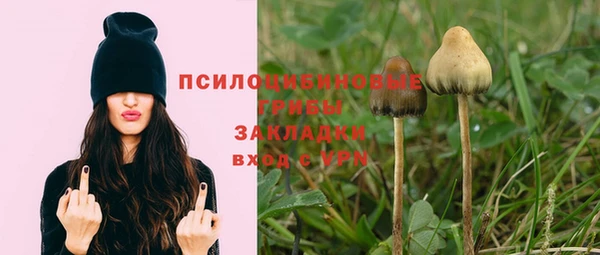 MESCALINE Богородск
