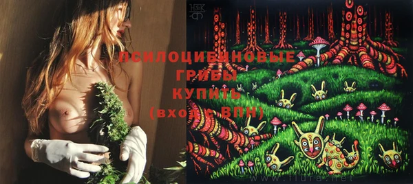a pvp Богородицк